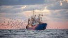 Plan de résilience : les mesures pour la pêche